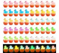 JOLCEEY 50pcs Easter Mini Ducks, 10 Colors Easter Resin Luminous Ducks Little Small Tiny Plastic Glow in The Dark Ducks with Easter Eggs for Easter Party Bag Fillers Indoor Decoration