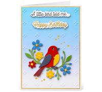 Joli Coon Birthday Card for Women, SIGNATURE Bird, with golden seal sticker