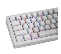 JOLINTAL Shine Through Keycaps, 121 Keys Gradient Grey Keycaps, Cherry Profile Side Printed Keycap, Double Shot Backlit Keycap Set for Cherry MX Switches Mechanical Keyboards