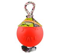 Jolly Dog Toy Romp-N-Roll Vanilla Dental Care Fetching Orange