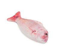 Jolly Moggy 100% Natural Catnip Red Snapper Toy - One Size