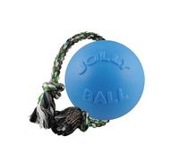 Jolly Pets Romp-n-Roll Blueberry - 6.0"