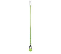 Jolly Pets Dog Toy Green/black (One Size)