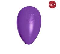Jolly Pets Jolly Egg Purple