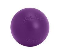 Jolly Pets Push-N-Play Dog Ball TL5212