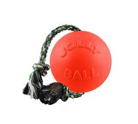 Jolly Pets Romp-N-Roll Dog Ball TL5161