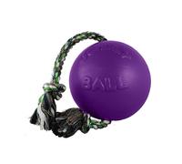 Jolly Pets Romp-n-Roll Ball With Rope Dog Toy