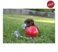 Jolly Pets Romp-n-Roll Red - 4.5"