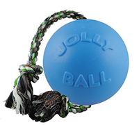 Jolly Pets Romp-n-Roll Rope and Ball Dog Toy, 8 Inches/Large, Blueberry, All Breed Sizes