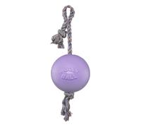 Jolly Pets Romp-n-Roll Rope and Ball Dog Toy, 8 Inches/Large, Light Purple