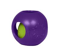 Jolly Pets Teaser Ball Dog Toy, 25 cm, Purple