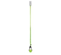 Jolly Pets Tree Tugger