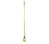 Jolly Pets Tree Tugger,Green
