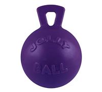 Jolly Pets Tug-n-Toss Heavy Duty Dog Toy Ball with Handle, 10 Inches/X-Large, Purple