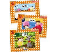 Jolly Phonics Orange Level Readers Set 1 : in Precursive Letters (British English edition)