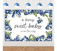 Jollyboom Blueberry Baby Shower Decorations, A Berry Sweet Baby is On The Way Decorations Backdrop Banner 5 x 3 Ft Berry Sweet Baby Shower Photography Background for Girls Photo Booth Prop