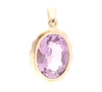 Jollys Jewellers Women's 9Carat Yellow Gold Amethyst Solitaire Pendant (11x14.5mm)
