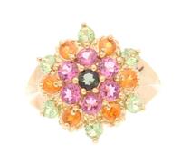 Jollys Jewellers Women's 9Carat Yellow Gold Multi-Coloured Sapphire Cluster Ring (Size J 1/2) 15x17.5mm | Luxury Ladies Ring