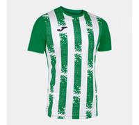 Joma Inter III Short Sleeve T-Shirt 103164.452