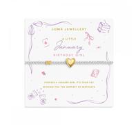 Joma Jewellery Birth Month A Little 'January' Two Tone Bracelet 17.5cm Stretch