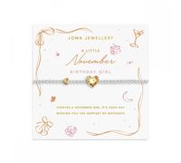 Joma Jewellery Birth Month A Little 'November' Two Tone Bracelet 17.5cm Stretch