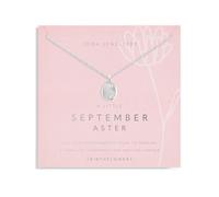Joma Jewellery September Aster Silver Plated Necklace - Brass / Silver Plated