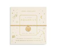 Joma Jewellery Aquarius Gold Plated Bracelet