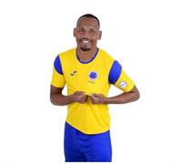 Joma Men's Phoenix Set, Royal Yellow, M