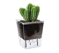 Jomewory Bottom Watering Pot For Indoor Plants, 5.9inch -Watering Transparent Plant Pot, Decorative Household Vase, Flower Pot With Ventilation Holesl For Orchid, Vanilla,