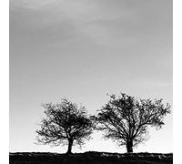 Jon Allen - A Heightened Sense of Everything