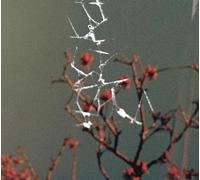 Jon Dale - Last Blues