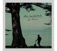 Jon Foreman - The Wonderlands (4 Vinyl LP set)