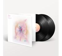 JON HOPKINS - MUSIC FOR PSYCHEDELIC THERAPY (2LP+MP3) 2 VINYL LP + MP3 NEW