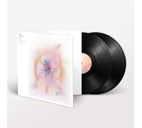 Jon Hopkins Music For Psychedelic Therapy Double LP Vinyl WIGLP458 NEW