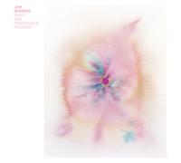 Jon Hopkins - Music for Psychedelic Therapy - Vinyl - Domino