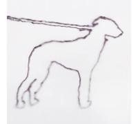 Jonah Yano - Portrait of a Dog