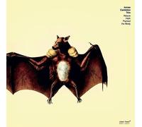 Jonas Cambien Trio - Nature Hath Painted Thebody