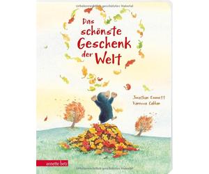 Jonathan Emmett Va Das schönste Geschenk der Welt - Ein Pappbilderbu (Paperback)