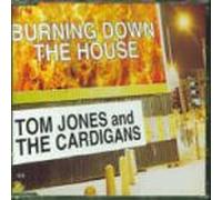 Jones, Tom & The Cardigans - Burning Down the House [CD 2]