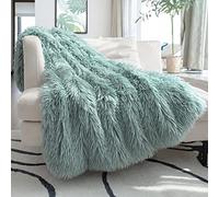 JONIYEAR Decorative 2.8" Long Hair Soft Fuzzy Faux Fur Throw Blanket 50" x 60", Luxury Reversible Fluffy Blanket for Couch Sofa Chair,Lightweight Accent Cozy Plush Thick Warm Shaggy Furry Blanket,Aqua