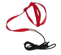 Jonlaki Bite Bird Leash for Parrots and Small Animals - Easy-to-Use Training Rope for Outdoor Fun and Adventures (S)