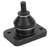 Jonlaki Front Camber Joint Kit Replacement for 1994-2001, /DEL SOL 1992-2000, Rubber & Stainless Steel, Easy Install with Complete Hardware
