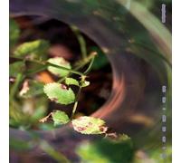 back Then I didn't But Now I do [Analog]