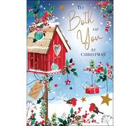 Jonny Javelin Christmas Card for Both of You - Festive Robins & Snowy Bird House - Embossed Foil & Flitter Finish - Premium Special Christmas Greeting Card with Envelope