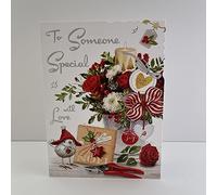 Jonny Javelin Female Someone Special Christmas Card Robin