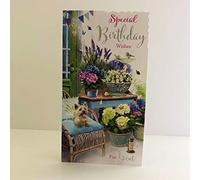 Jonny Javelin Special Birthday Wishes Just for You Card - Puppy On Chair Flowers