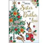 Jonny Javelin Special Sister And Brother In Law Merry Christmas Card Hares