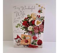 Jonny Javelin Wonderful Wife Love At Christmas Time Card Robin