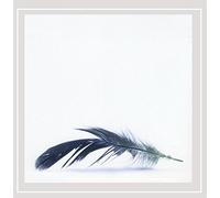 Jonny Rodgers - The Aviary