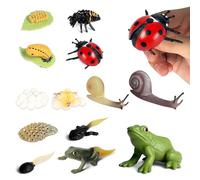 Jonuin Insect Life Cycle Toys, 13 Pcs Insect Toys Life Cycle of Frog, Ladybug & Snails Action Model, Plastic Bug Figurines Toy, Insects Growth Cycle Model, Early Educational Insect Toys for Kids